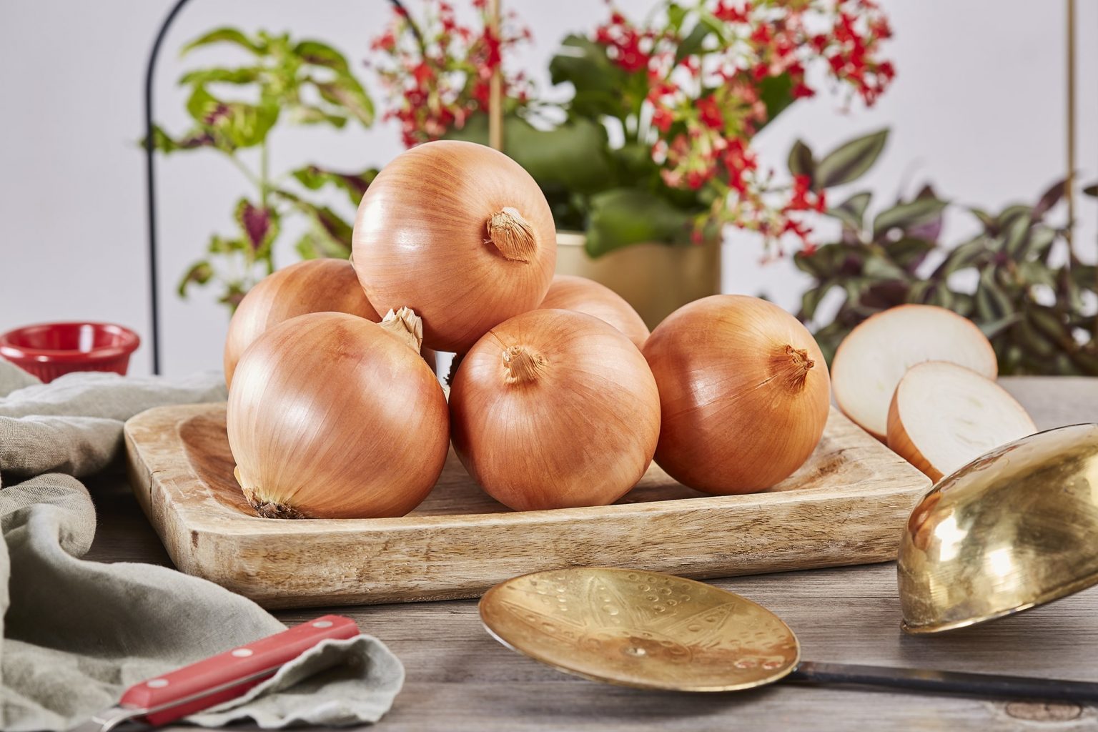 Venta de cebolla al por mayor | Cebollas Aparici