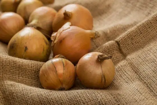 Venta de cebollas al por mayor en España