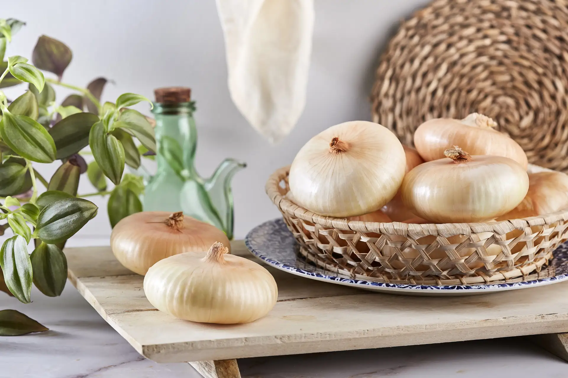 Tipos de cebollas: Cebolla chata